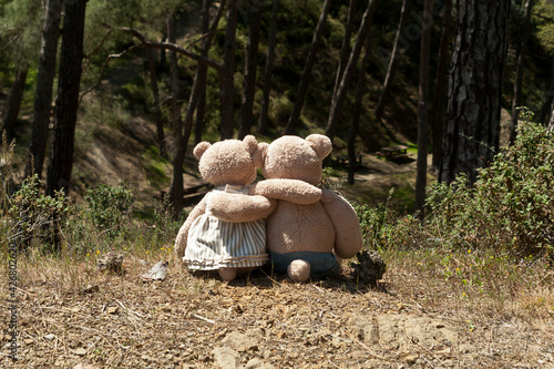Two hugging teddy bears sitting on pine forest floor
