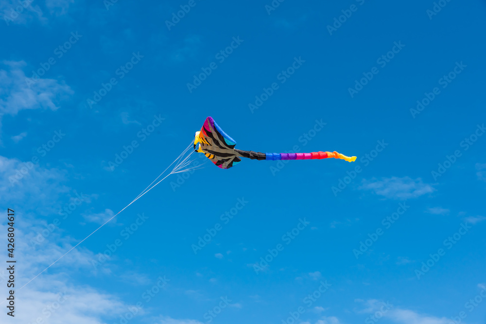 Colorful Kites flying over the sky Colorful Kites flying over the sky