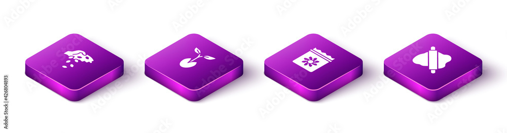 Set Isometric Seed, Sprout, Pack full of seeds of plant and Rolling pin on dough icon. Vector Set Isometric Seed, Sprout, Pack full of seeds of plant and Rolling pin on dough icon. Vector