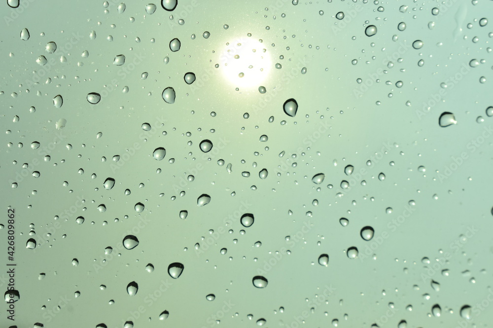 rain drops on window