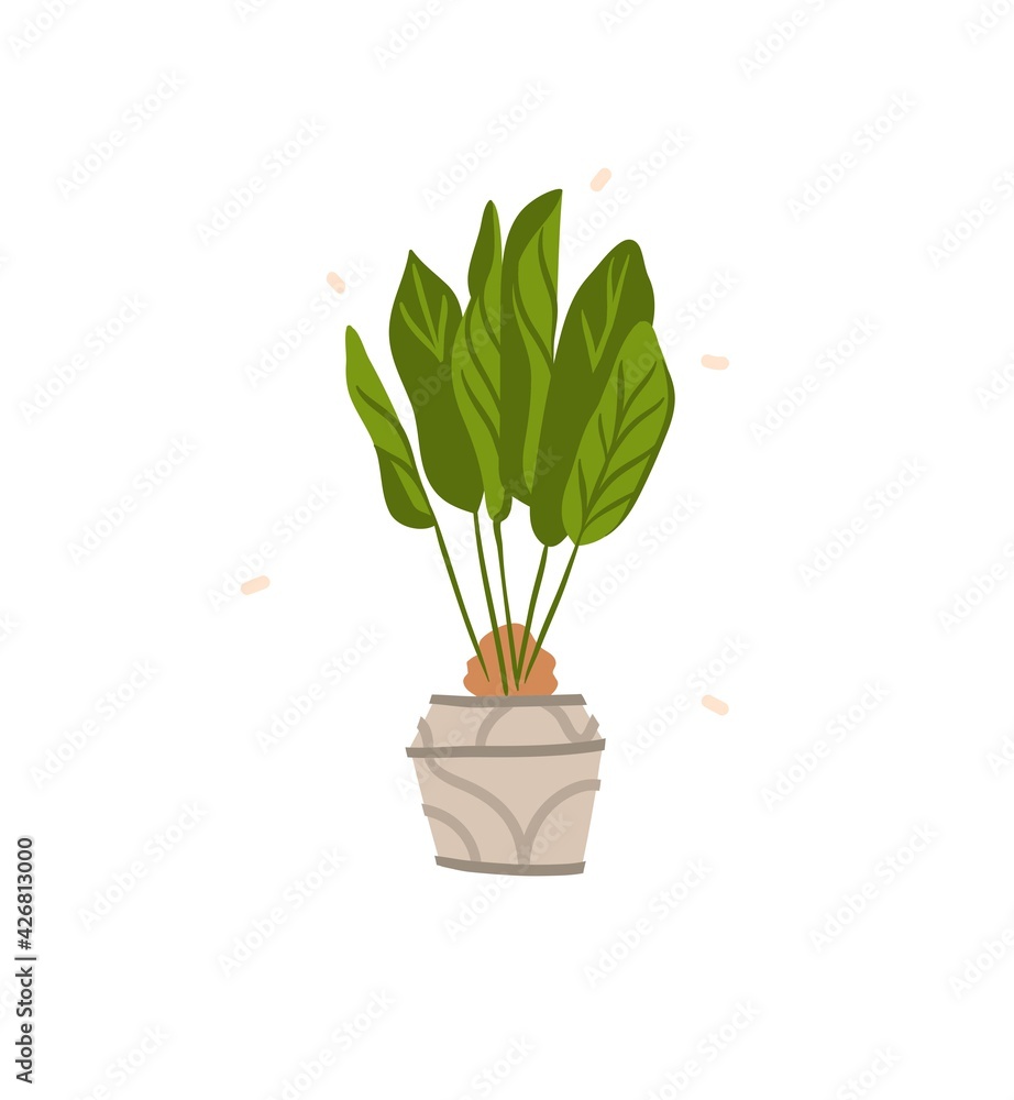 Hand drawn vector abstract stock graphic bohemian clipart illustration with beauty,urban home scandinavian interior design element of green plant in pot isolated on white background Hand drawn vector abstract stock graphic bohemian clipart illustration with beauty,urban home scandinavian interior design element of green plant in pot isolated on white background