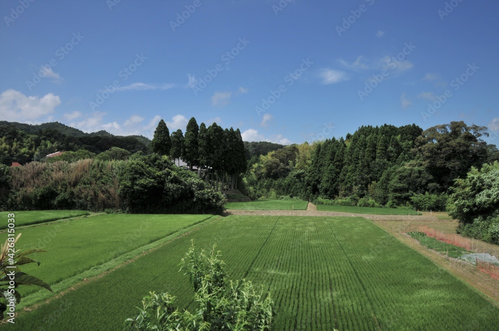 日本の田舎風景