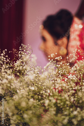 indian traditional bride