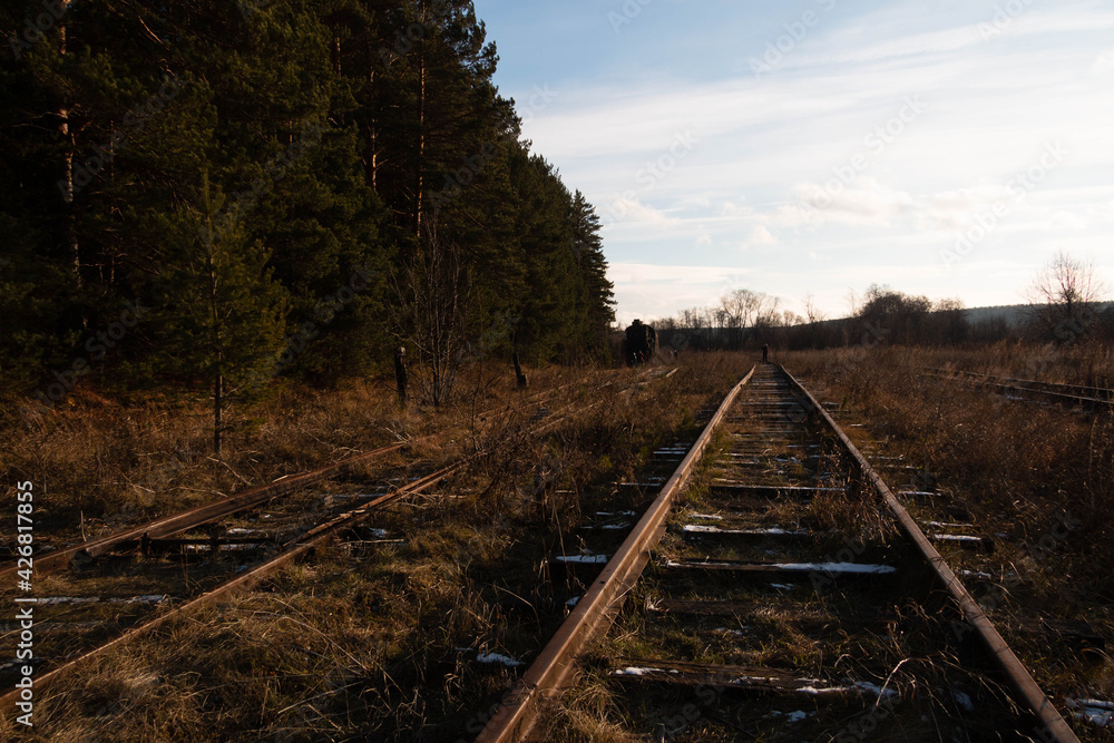 Fototapeta premium abandoned rails on the field