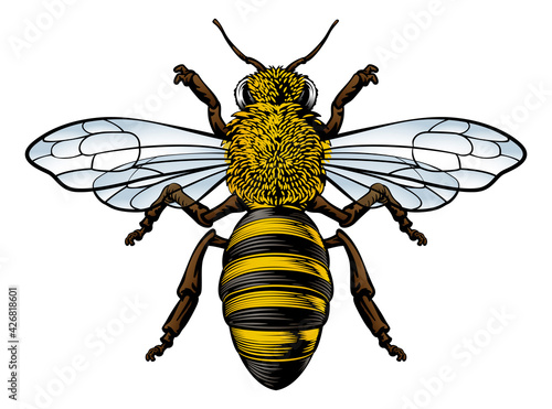 Honey Bumble Bee Vintage Woodcut Engraving Etching