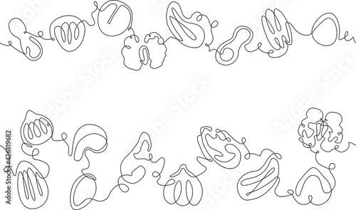 Vector One line Drawing Seamless patterns with Various Nuts and Seeds. Can be yused as background, frame, template, border, backdrop, label, banner, flyer, card, cover, texture.