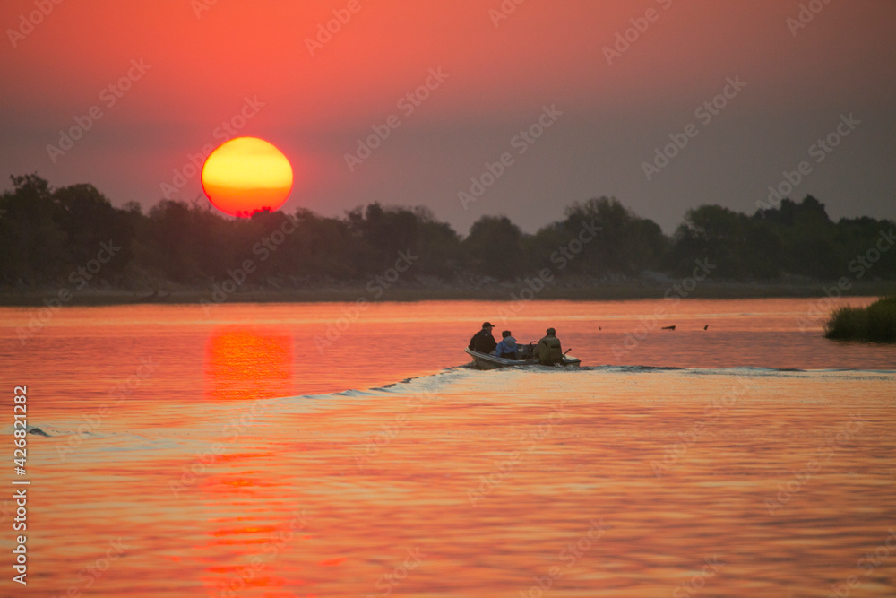 Naklejka premium Sunset over Chobe River between Namibia and Botswana, Southern Africa.