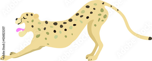 hand drawn cheetah resting yawning and stretching