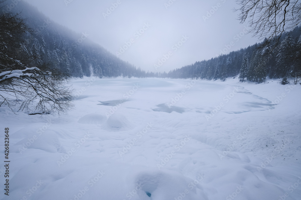 The frozen Lac des Corbeaux under the clouds, La Bresse, Vosges. France