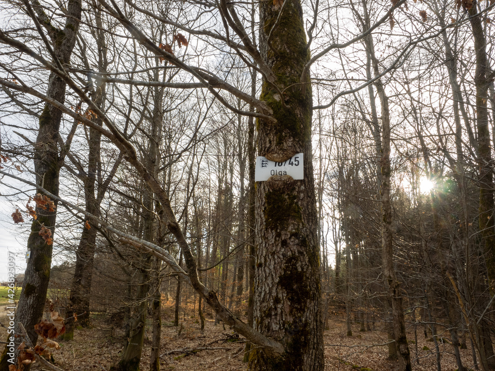 Fototapeta premium tafel