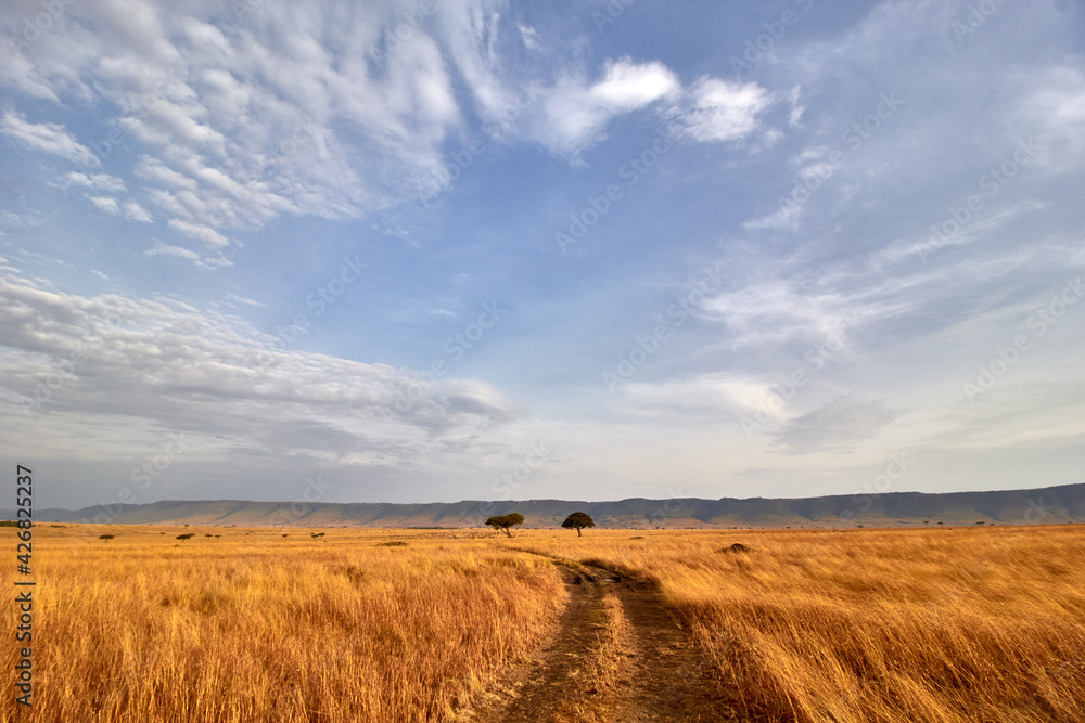 The road through Masaai Mara The road through Masaai Mara