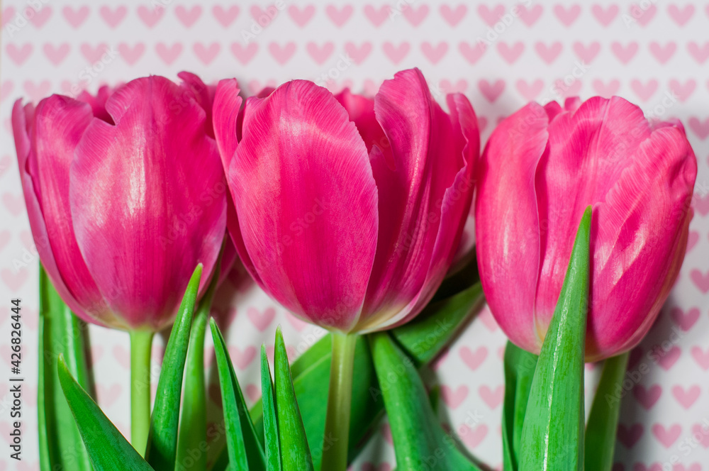 Beautiful pink tulips on a background with pink hearts, a gift for Valentine's Day, Women's Day or Mother's Day Beautiful pink tulips on a background with pink hearts, a gift for Valentine's Day, Women's Day or Mother's Day