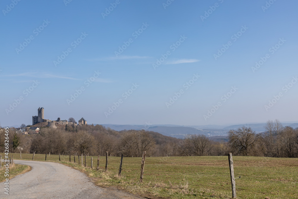 View across the field to the old Greifenstein castle ruins in spring