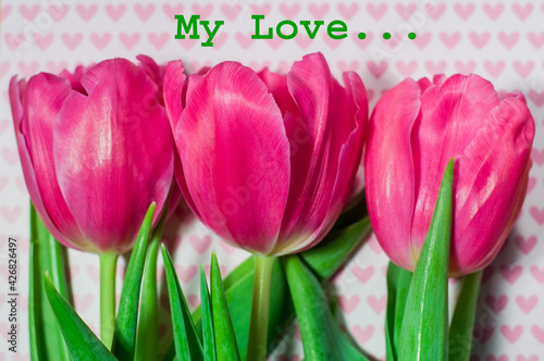 Postcard with the image of beautiful pink tulips on a background with pink hearts  a gift for Valentine s Day or as a gift for a girl  a woman