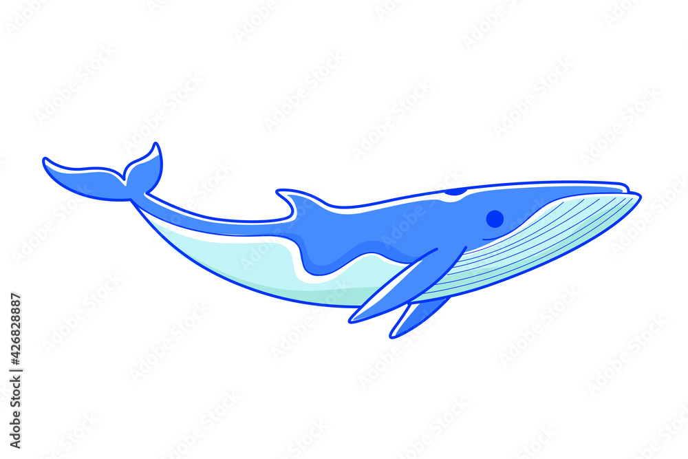 Minke whale, cute character for children. Vector illustration in cartoon style for abc book, poster, postcard. Minke whale, cute character for children. Vector illustration in cartoon style for abc book, poster, postcard.