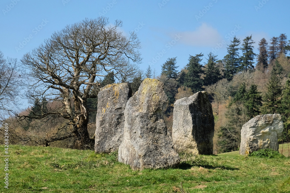 The Dragonstones stone circle on the lower slopes of Hascombe Hill, Surrey, UK The Dragonstones stone circle on the lower slopes of Hascombe Hill, Surrey, UK
