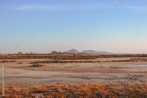 arid landscape with distant mountain peak