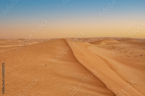 Dune ridge desert