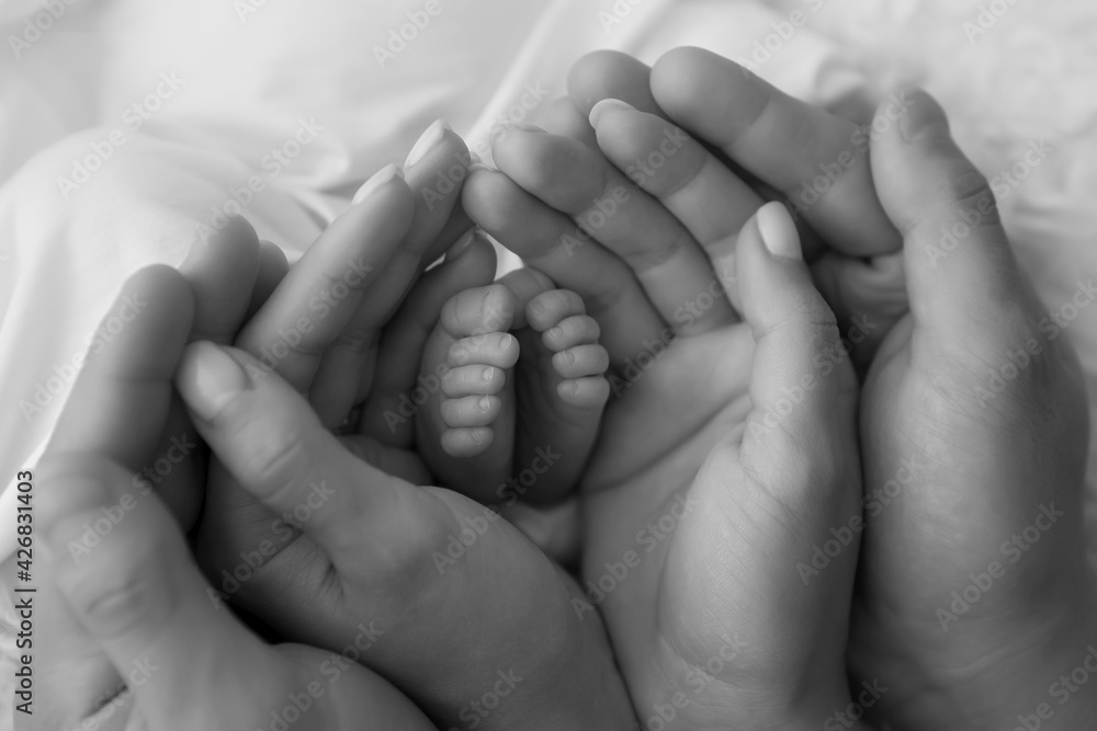 baby feet in the hands of the mother. parents ' wedding rings on the toes of a newborn baby feet in the hands of the mother. parents ' wedding rings on the toes of a newborn