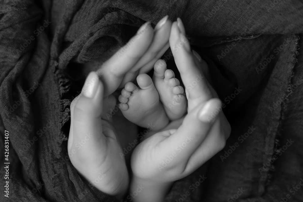 baby feet in the hands of the mother. parents ' wedding rings on the toes of a newborn