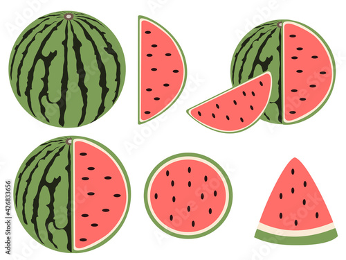 Watermelon slice semicircle cut half for set vector for design and create