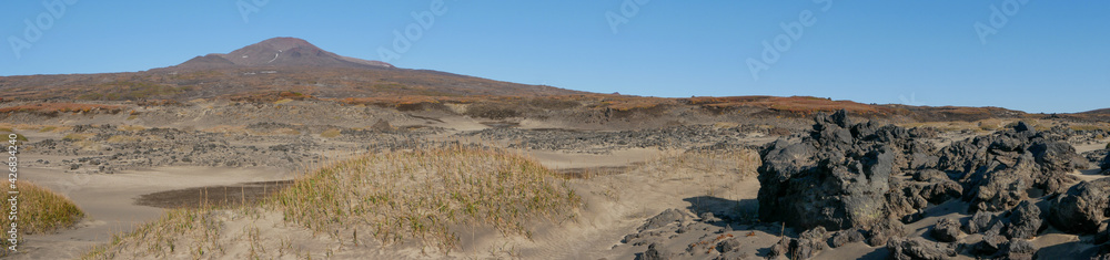 Naklejka premium Panoramic view of the mountains on the way to the Mutnovsky volcano. Autumn view of the volcano and igneous stones after a volcanic eruption against the blue sky. Kamchatka Peninsula, Russia.