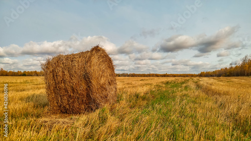 Obraz na płótnie A bale of hay standing on a field in autumn w salonie