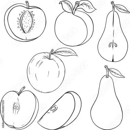 set of fruit outlines vector illustration: apple, apricot, pear