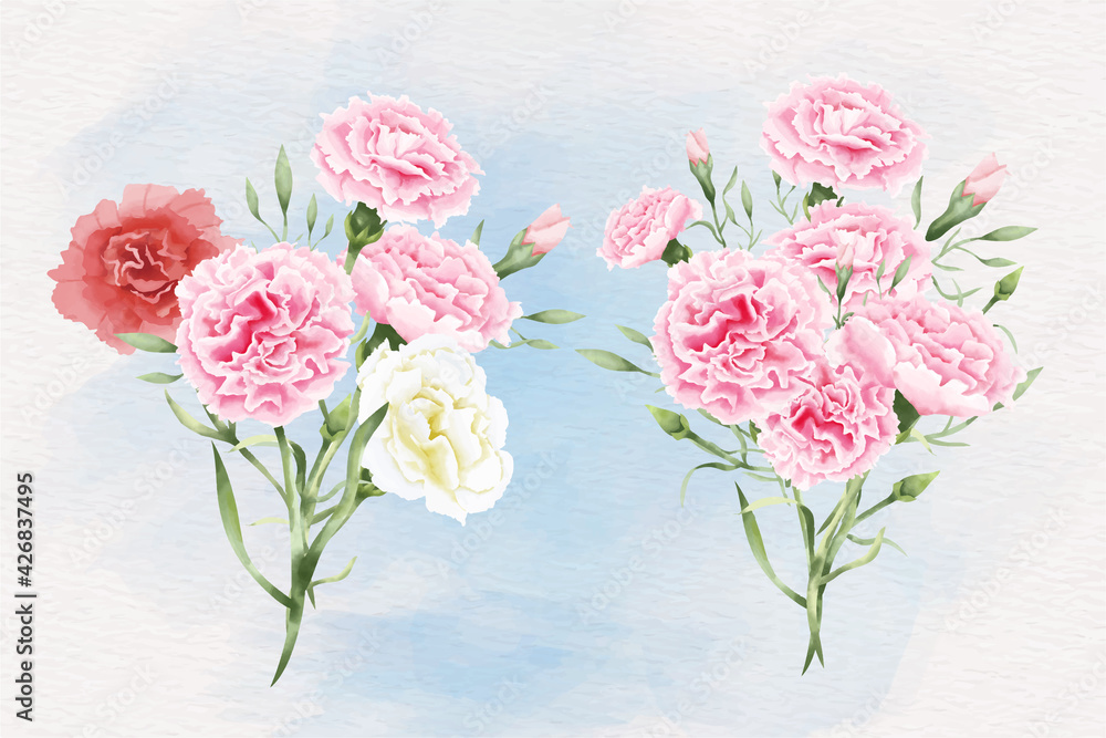 Watercolor carnation flowers illustration