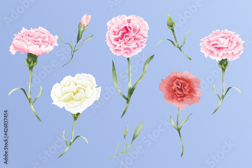 Watercolor carnation flowers set
