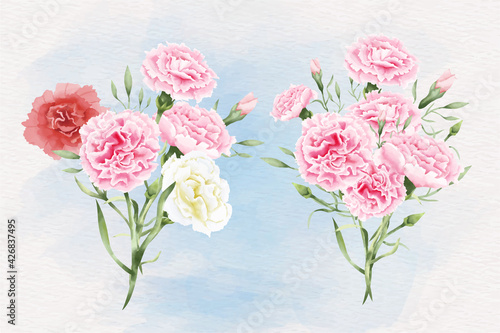 Watercolor carnation flowers illustration