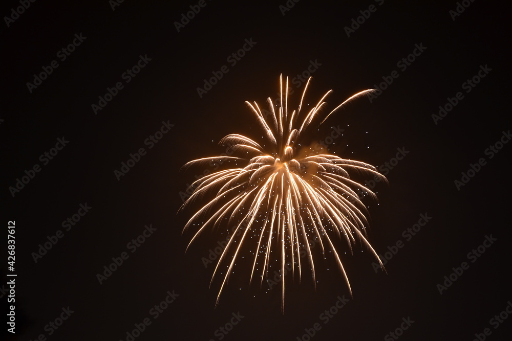 Firework during a celebration of a festival or new year or party Firework during a celebration of a festival or new year or party