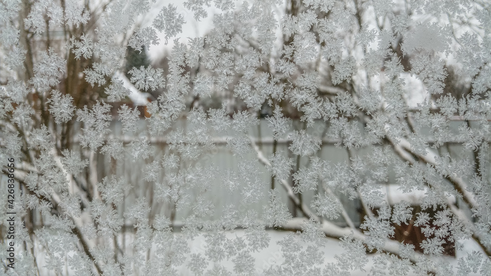 Frost on the glass of the window, winter background