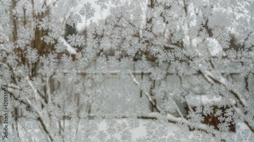 Obraz na płótnie Frost on the glass of the window, winter background w salonie