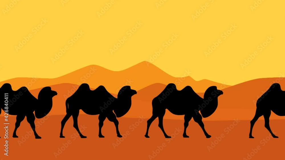 Caravan of Bactrian camels walking in the desert, animation with Bactrian camels Caravan of Bactrian camels walking in the desert, animation with Bactrian camels