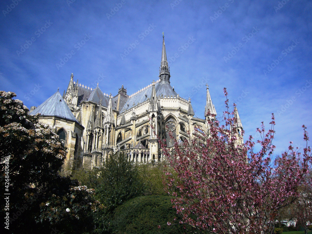 Fototapeta premium Arrière de la cathédrale catholique romaine de Reims dans la Marne