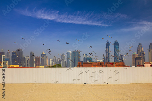 Seagulls flying against the...