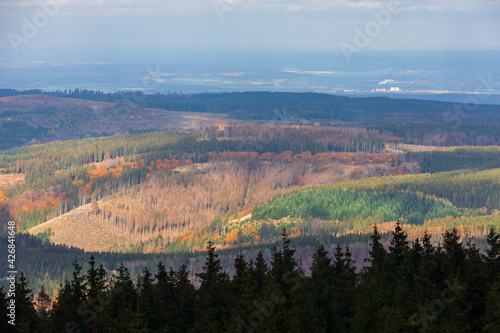 Die Wolfswarte bei Altenau, Nationalpark Harz, Deutschland