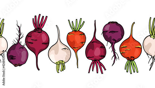 Vector horizontal seamless pattern with hand drawn ripe colorful beets. Beautiful food design elements, ink drawing. Perfect for prints and patterns