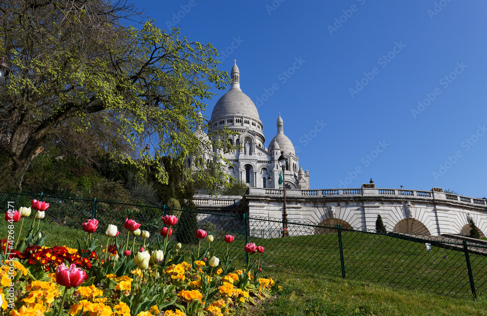 Fototapeta premium The famous basilica Sacre Coeur , Paris, France.