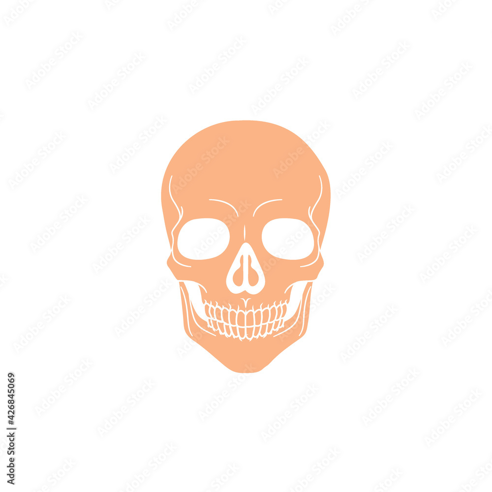 Modern Minimalist Human Skull Icon Vector Illustration. Simple skeleton of head icon for halloween or death concept. Skull symbol isolated on white background. Bone, cranium, halloween, brainpan Modern Minimalist Human Skull Icon Vector Illustration. Simple skeleton of head icon for halloween or death concept. Skull symbol isolated on white background. Bone, cranium, halloween, brainpan