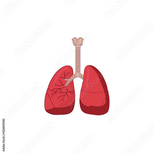 Human Respiratory System Icon Vector Illustration isolated on white background. Breathe, bronchi, bronchiole, bronchus, lung, lungs icon for medical or health care concept
