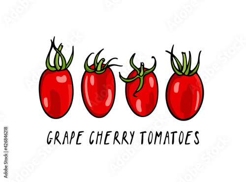 Vector illustration of hand drawn ripe Grape Cherry tomatoes. Beautiful food design elements, perfect for food related industry