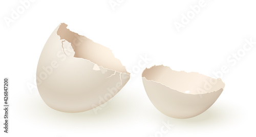 Broken empty eggshell isolated on white background. Vector realistic white egg.