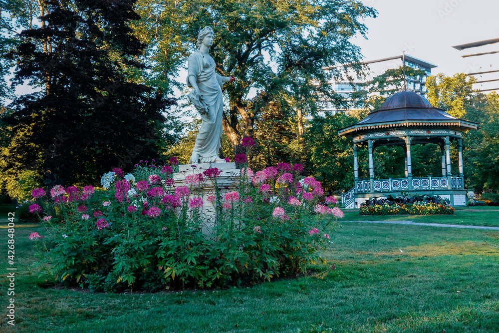 Obraz premium garden with flowers