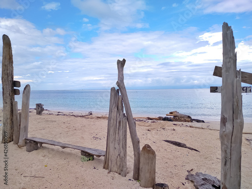 Wood on the beach