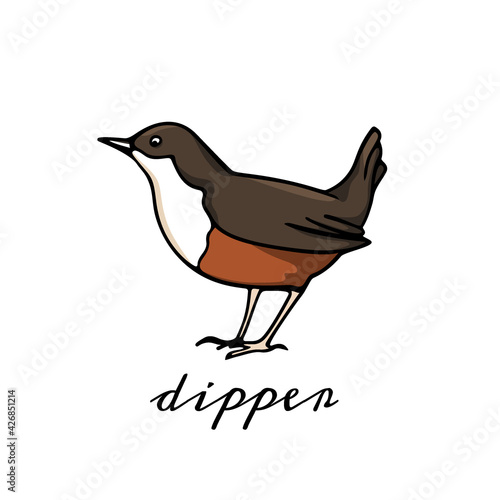 Vector card with hand drawn sweet White-throated Dipper made with ink. Perfect animal design elements, logo template