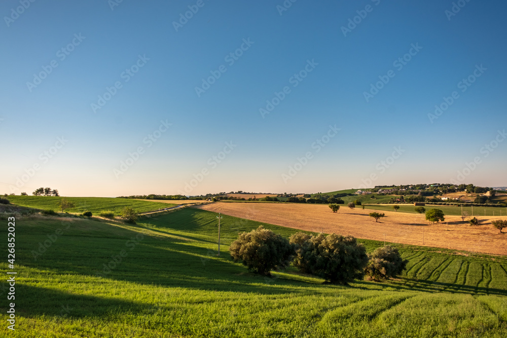 Beautiful sunrise in the countryside of Marche in a summer morning