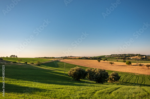 Beautiful sunrise in the countryside of Marche in a summer morning