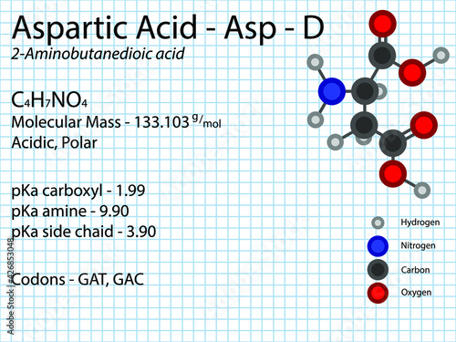 Aspartic acid - Asp - D - Non Essential Amino Acid molecular formula, chemical structure, pKa, pKb, codons, mass. 2D Ball and stick model on school paper sheet background.